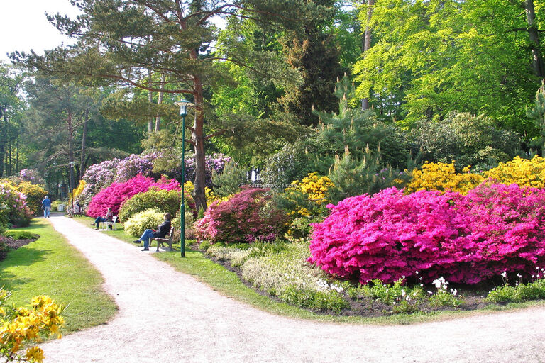 4 ha großer Rhododendronpark